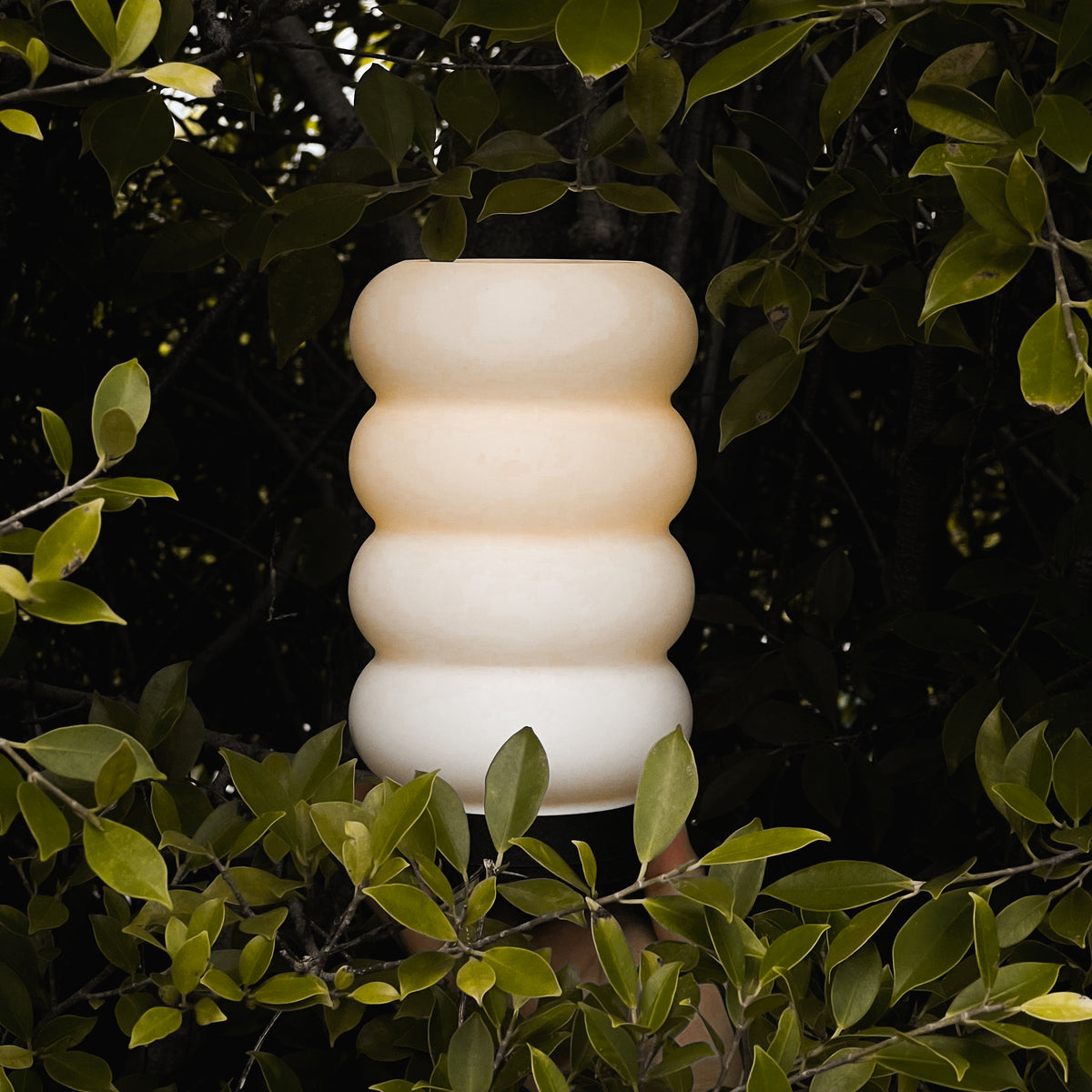 Bagel Lamp EmberLit