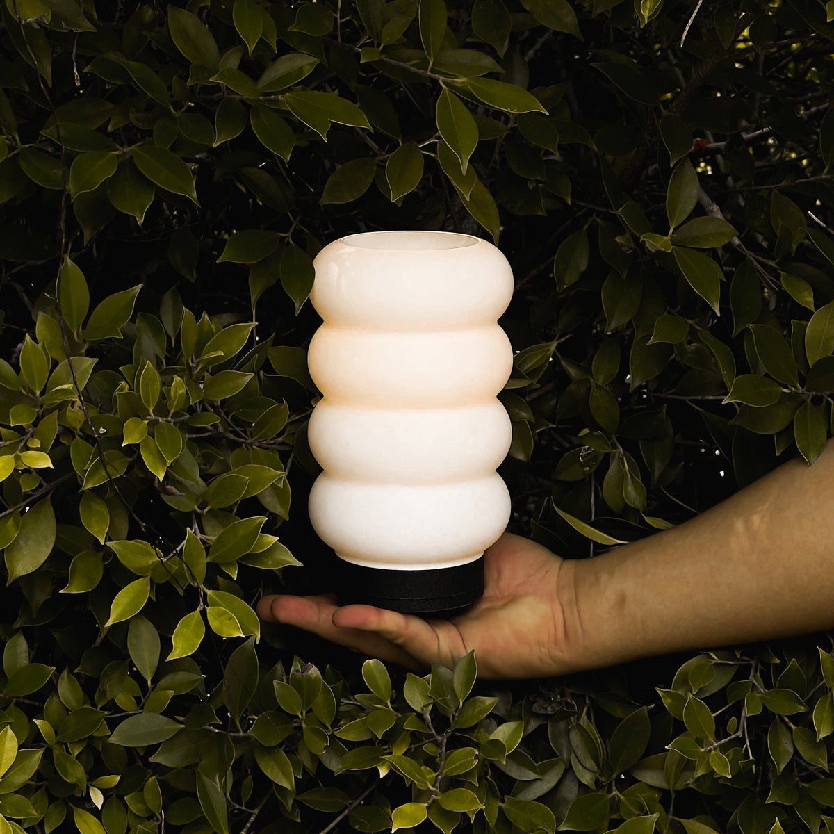 Bagel Lamp EmberLit